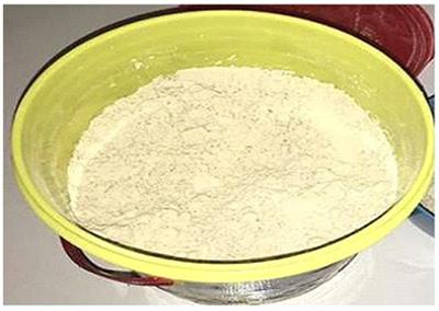 Influence of adding edible termite flour to Ogi powder: its chemical and phytochemical composition